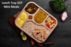 Bagasse Lunch Tray 5 cp