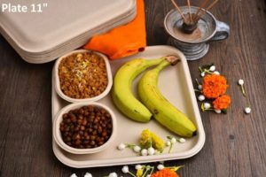 Bagasse Plate 11 inch