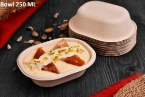 Bagasse Bowl 250ml